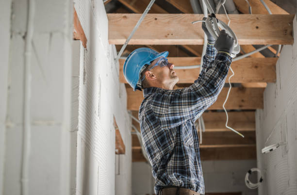 Best Home Electrical Repair  in Combee Settlement, FL