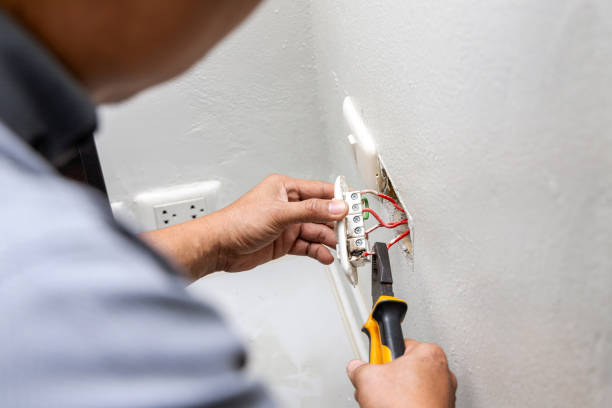 Best Best Electricians Near Me  in Combee Settlement, FL